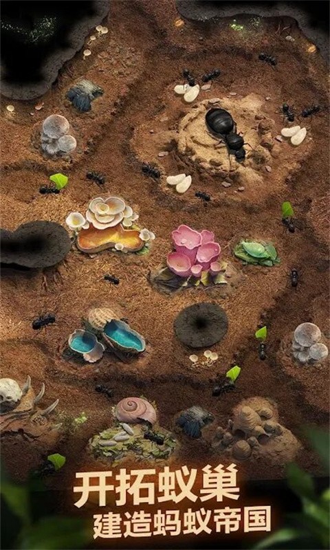 荒野蚂蚁模拟截图(2)