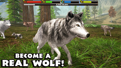野狼模拟3D截图(3)