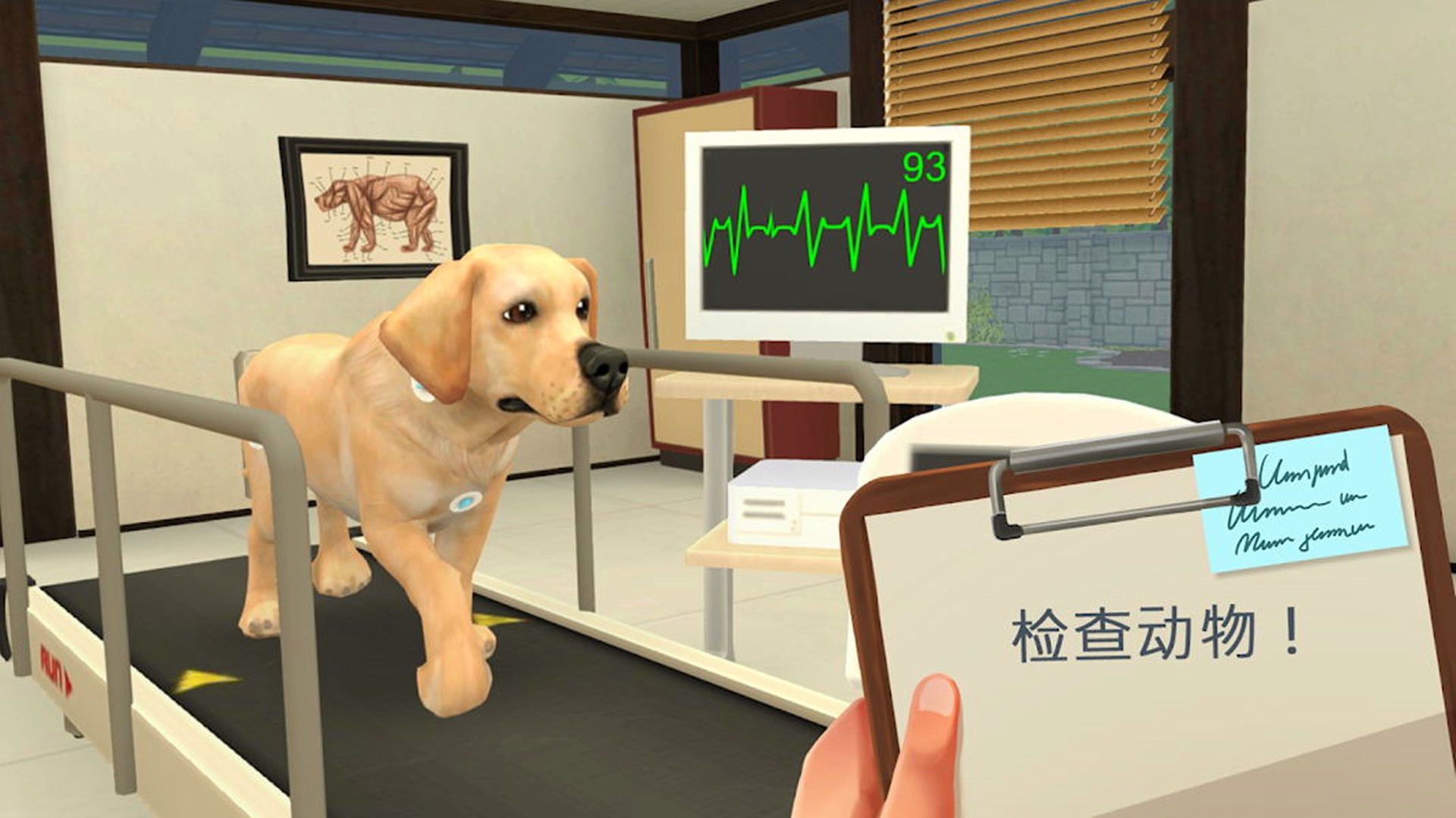 宠物救助模拟器截图(3)