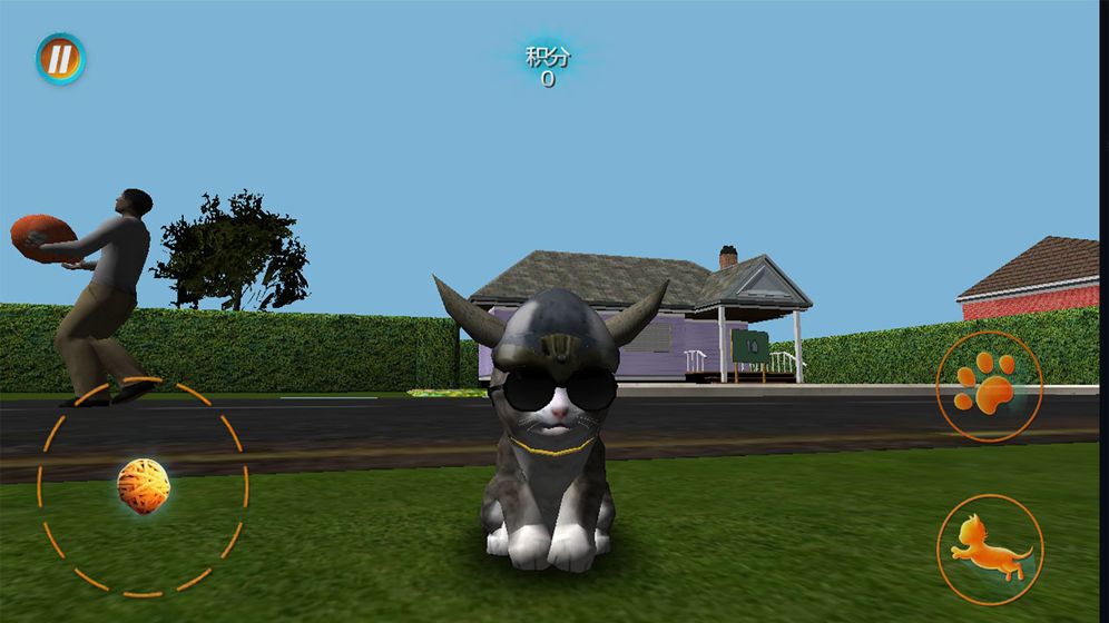 真实小猫3D模拟截图(4)