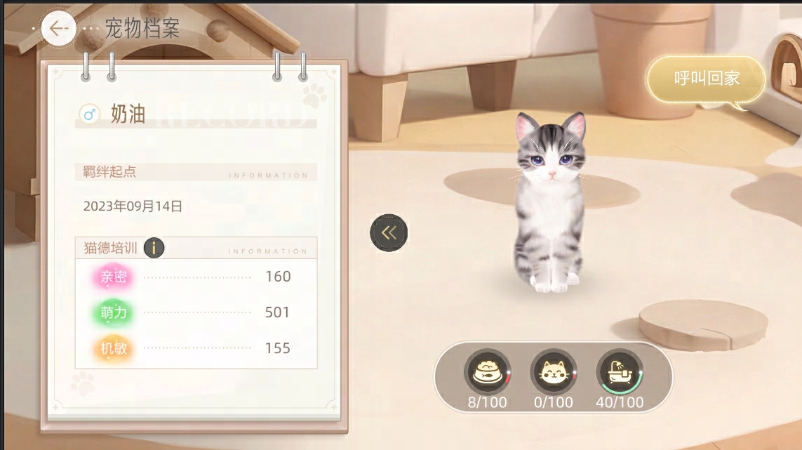 《绝对演绎》宠物系统更新，打造堪比猫咖的温馨喵之家