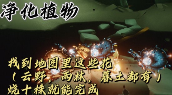 《光遇》2021年9月9日每日任务攻略