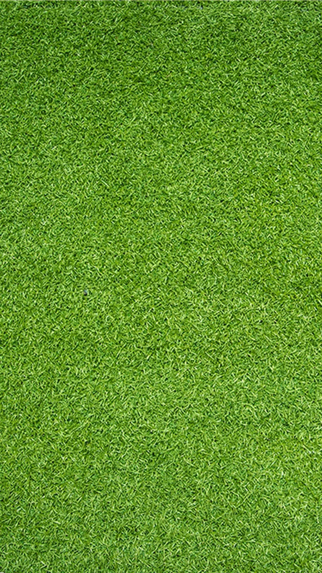 《抖音》养鸡表情包动图分享