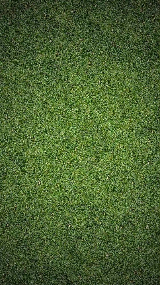 《抖音》养鸡表情包动图分享