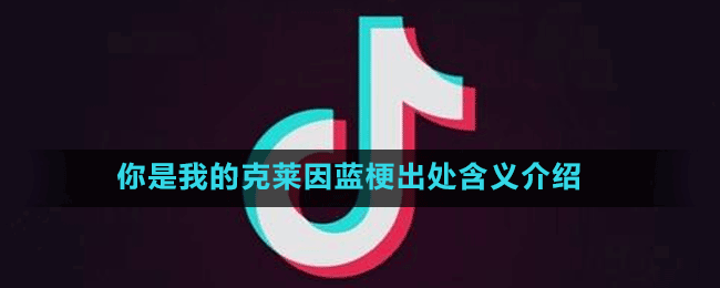 你是我的克莱因蓝梗出处含义介绍