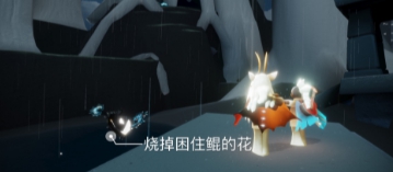 《光遇》2022年1月22日常任务完成攻略分享