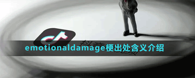 emotionaldamage梗介绍