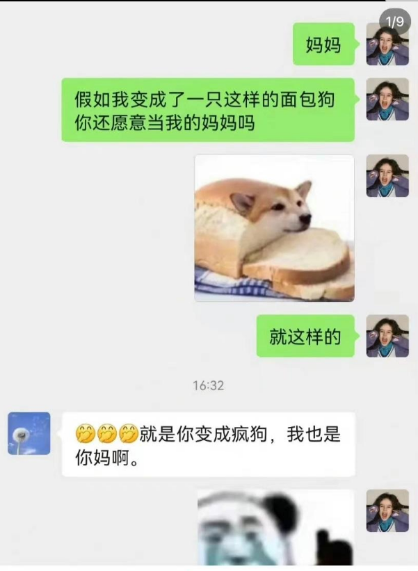 面包狗香肠狗梗出处含义介绍