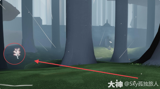 《光遇》2022年3月30日常任务完成攻略分享