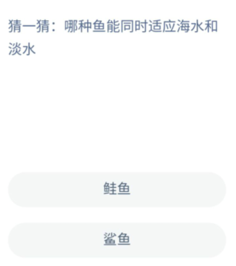 《支付宝》神奇海洋8月11日答案分享
