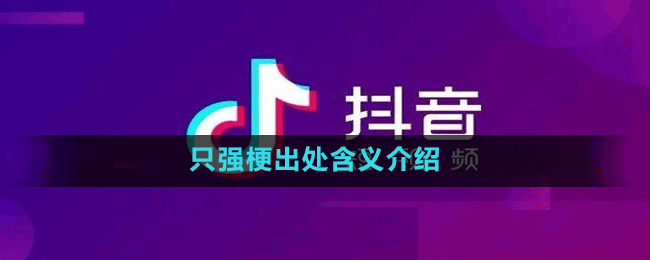 只强梗出处含义介绍