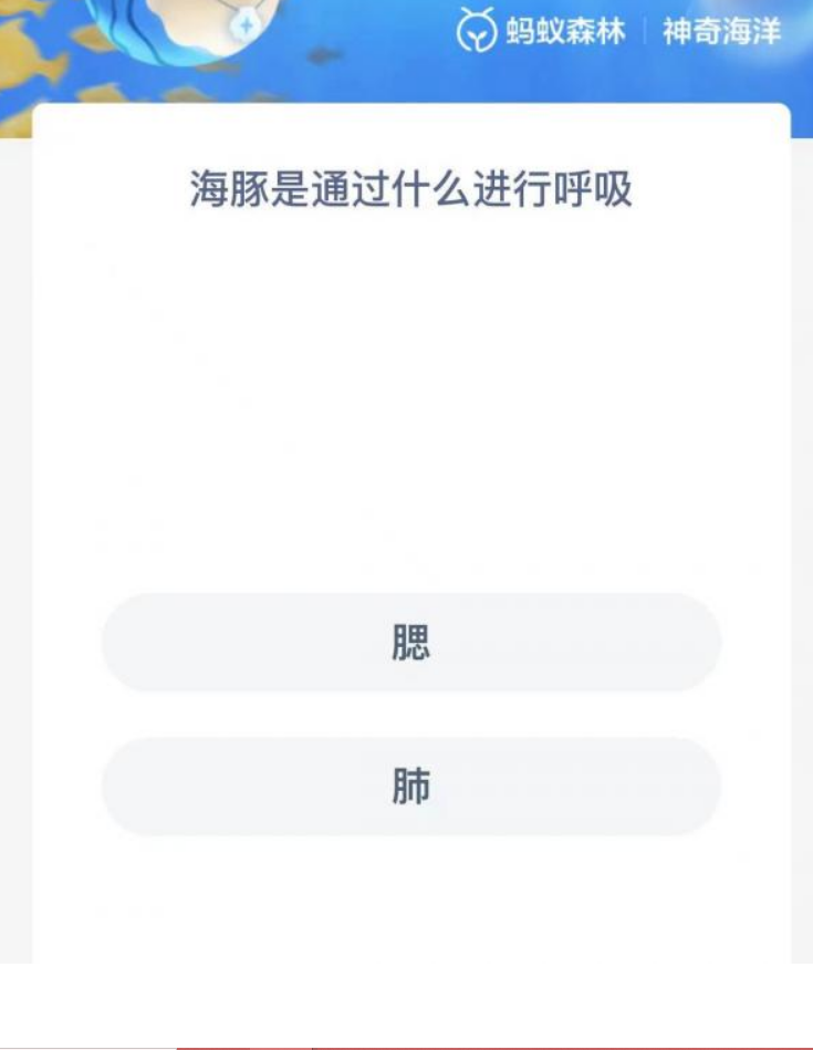 《支付宝》神奇海洋9月4日答案分享