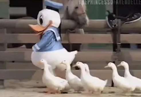 副业的小曲梗出乎含义介绍