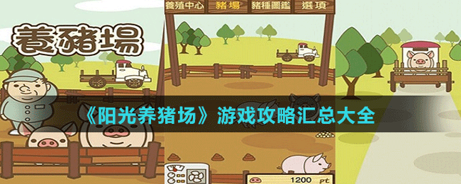 《阳光养猪场》游戏攻略汇总大全