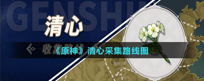 《原神》清心采集路线图