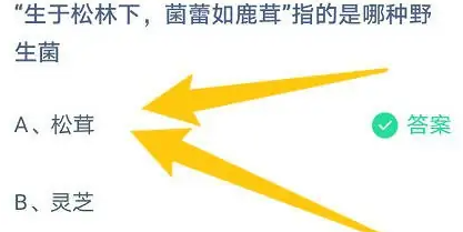 《支付宝》蚂蚁庄园2023年5月18日每日一题答案