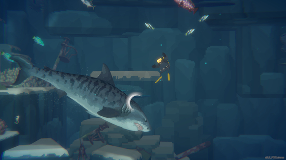 《潜水员戴夫》qte触发方法