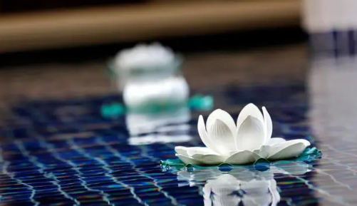 《支付宝》蚂蚁庄园2023年8月12日每日一题答案（2）