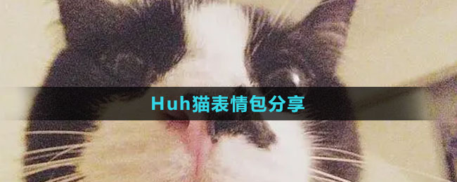 《抖音》Huh猫表情包分享