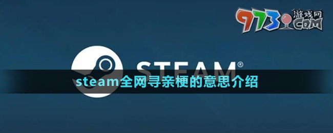 《抖音》steam全网寻亲梗的意思介绍