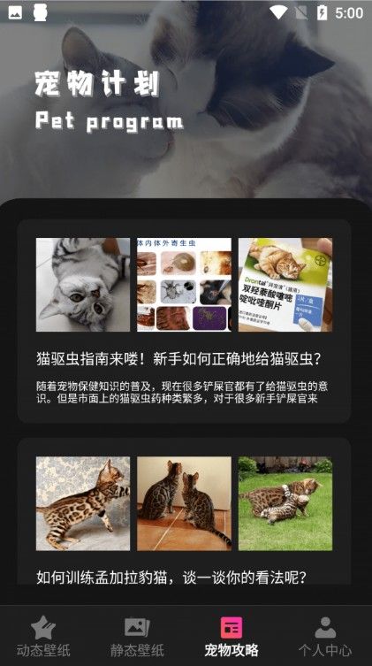 猫咪壁纸截图(1)