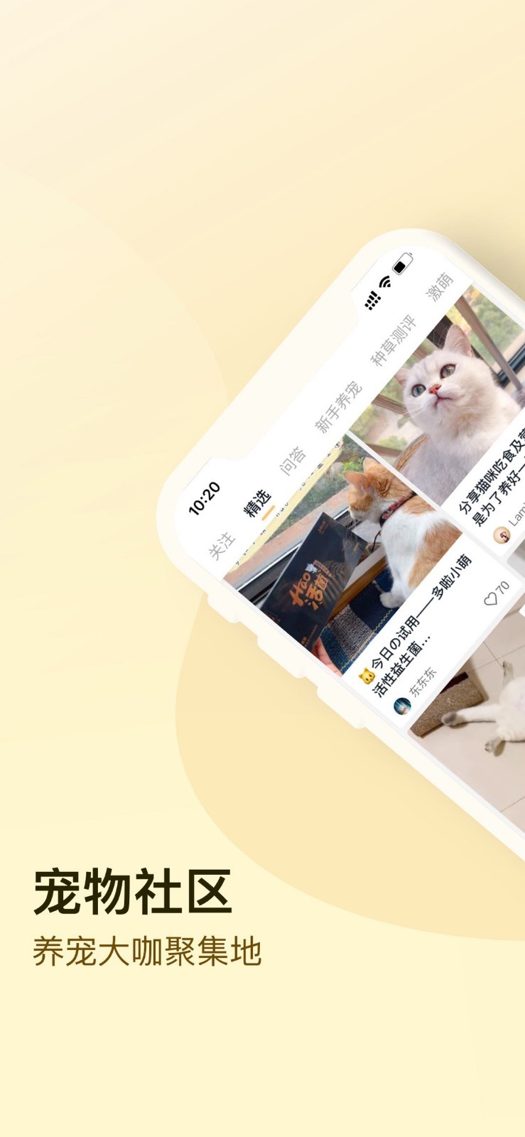 小萌猫短视频截图(4)