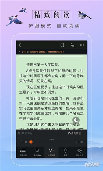 轻言小说免费阅读截图(4)