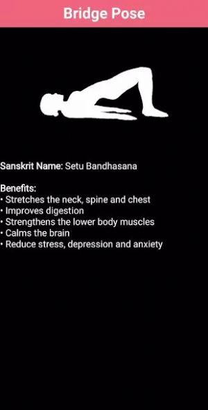 10 Daily Yoga Poses截图(1)