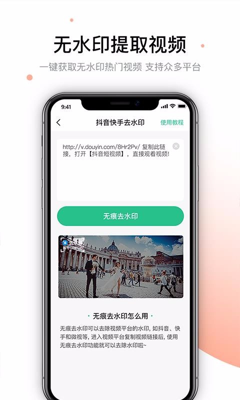 视频去除水印截图(2)