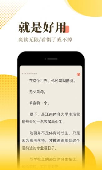 全职高手小说截图(4)