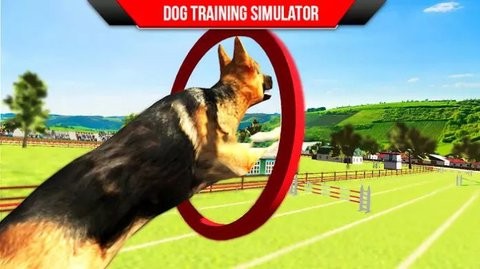 狗狗训练3D截图(4)