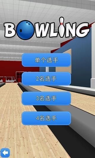 Bowling 3D截图(1)
