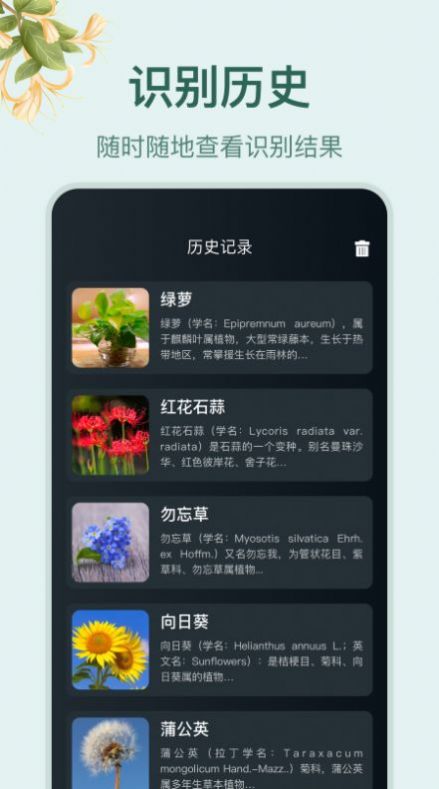 花草百科识别截图(1)