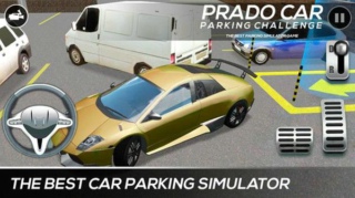 小车停车模拟截图(4)