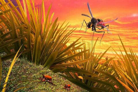 蚊子模拟器3D截图(2)