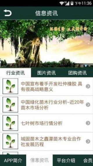 西北苗木网截图(2)