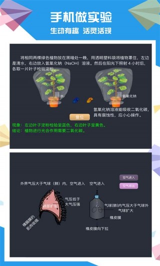 土豆生物截图(4)