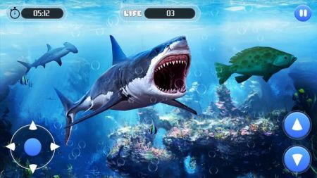 白鲨攻击任务3D截图(4)