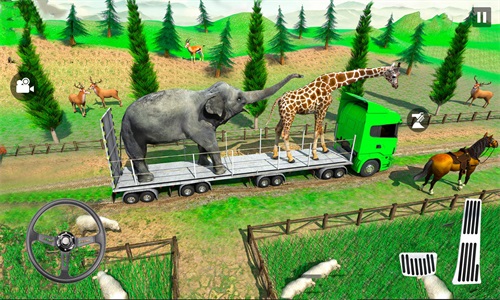 动物运输卡车越野截图(2)