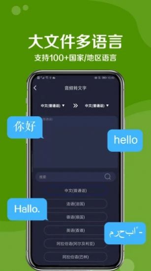 九崖语音翻译截图(4)