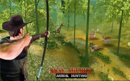 真正的弓箭手动物狩猎截图(3)