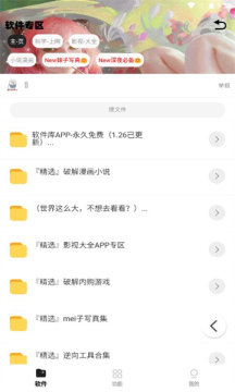 倾城软件库截图(2)