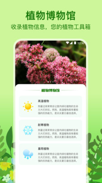 植物天气截图(3)