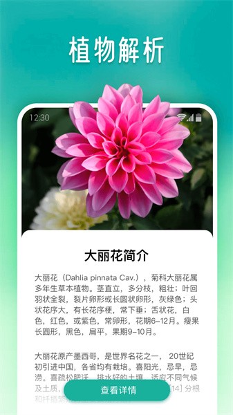 植物大师截图(3)