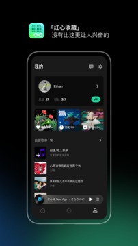 豆瓣FM截图(4)