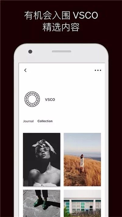 VSCO截图(1)