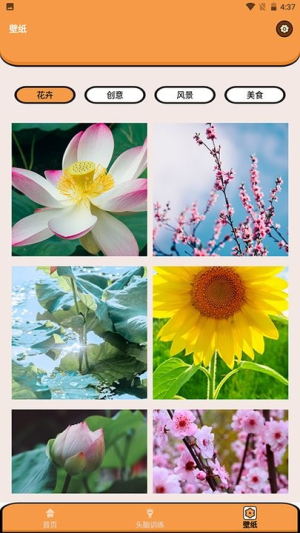 超能王国找茬截图(2)