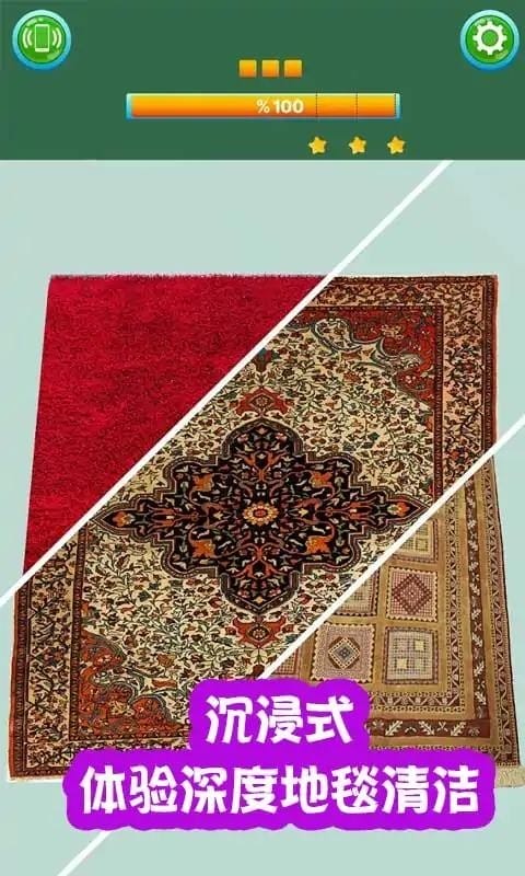 地毯清洁大师模拟器截图(2)