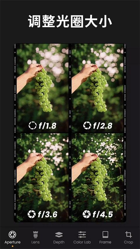 relens大光圈虚化单反相机截图(5)