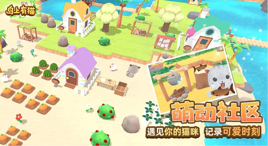 岛上有猫截图(2)